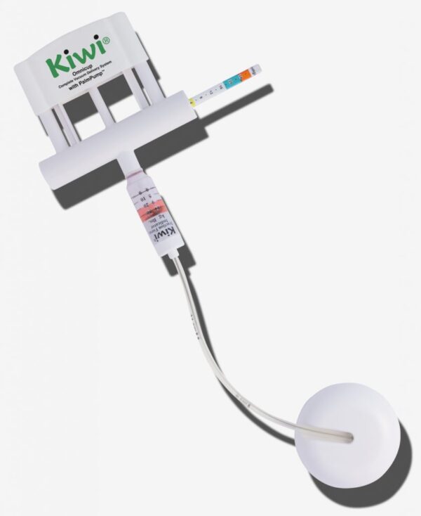 KIWI SYSTEM